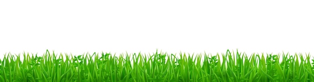 Vetor grama verde em gramado ou campo de primavera
