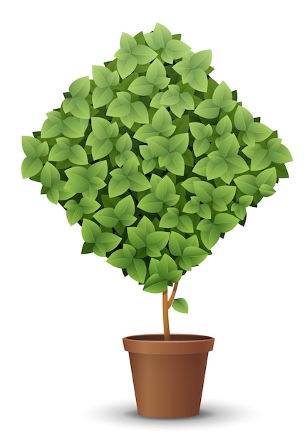 Vetor grande árvore verde vetorial cresce a partir de um conceito de vaso de flores da primavera e do verão