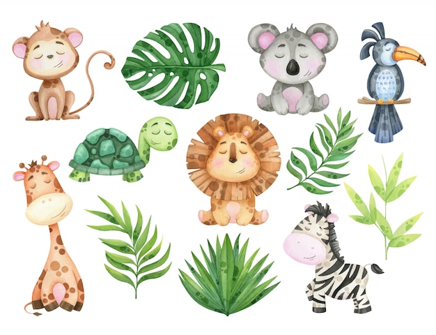 Grande conjunto aquarela de animais tropicais e folhas