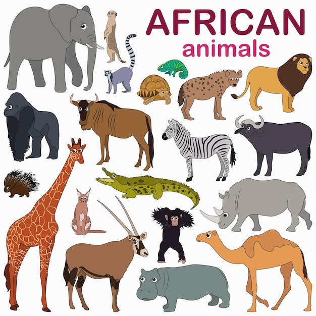 Grande conjunto com animais africanos coloridos em estilo cartoon. Animais selvagens fofos. Grande conjunto com animais.