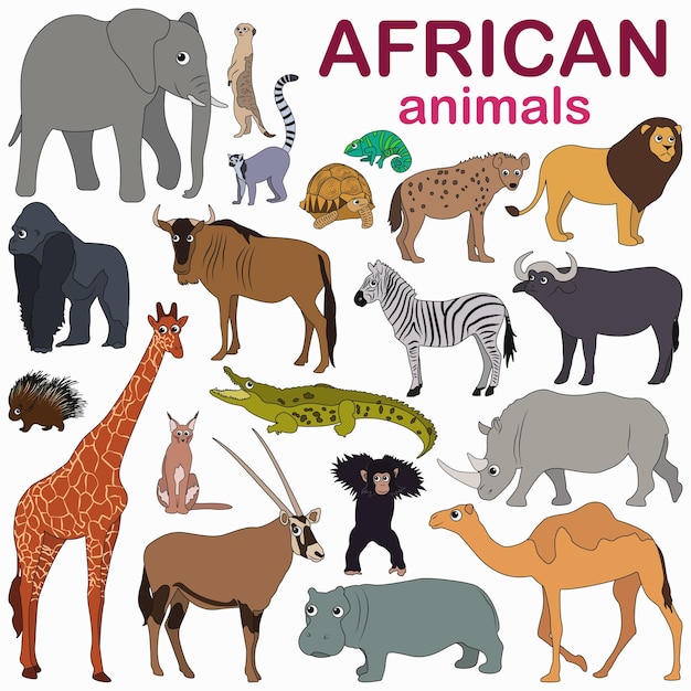 Grande conjunto com animais africanos coloridos em estilo cartoon. animais selvagens fofos. grande conjunto com animais.