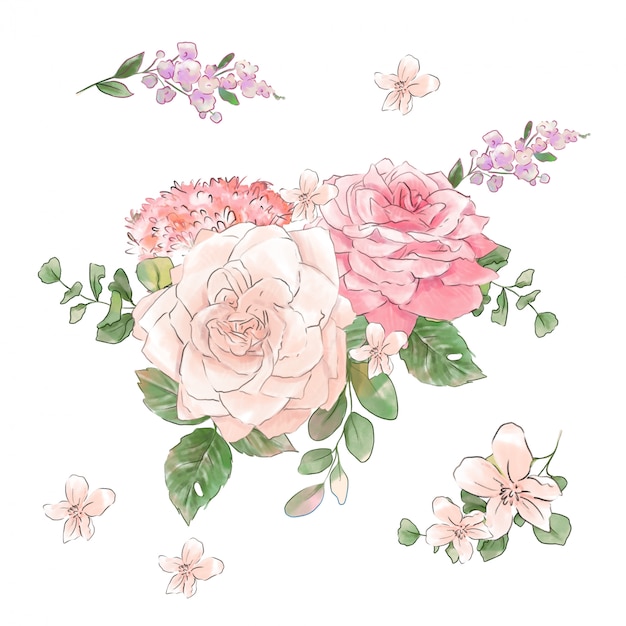 Grande conjunto de aquarelas rosas concurso super qualidade.