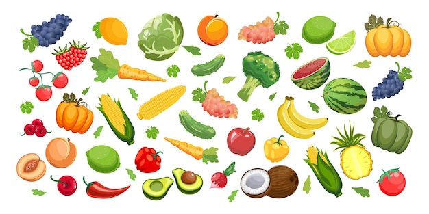 Grande conjunto de frutas e legumes Vetor de ilustração de agricultura alimentar