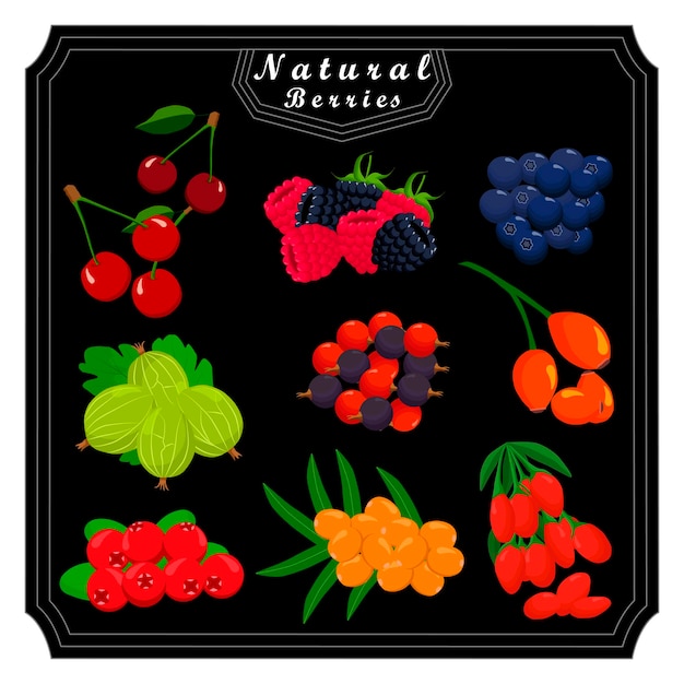 Grande conjunto natural de frutas e bagas saborosas