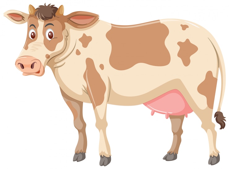 Vetor grande fundo branco de vaca marrom