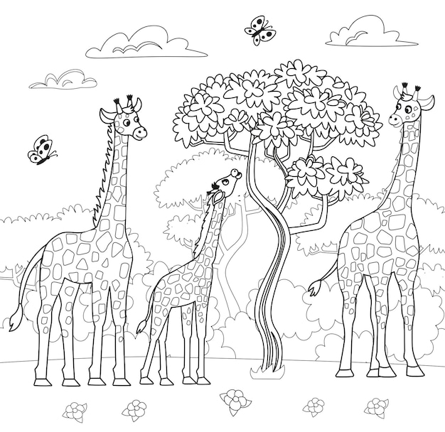 Grande livro de colorir com animais do zoológico conjunto de girafa de desenho animado girafa comendo folhas áfrica animais