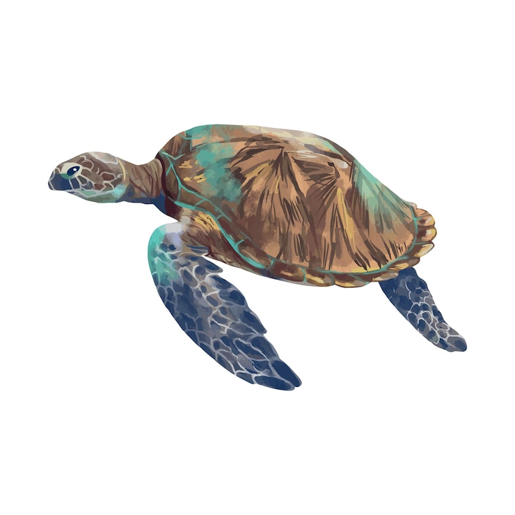 Vetor grandes cartões de saudações em aquarela de tartaruga marinha, convites, panfletos e banners temáticos