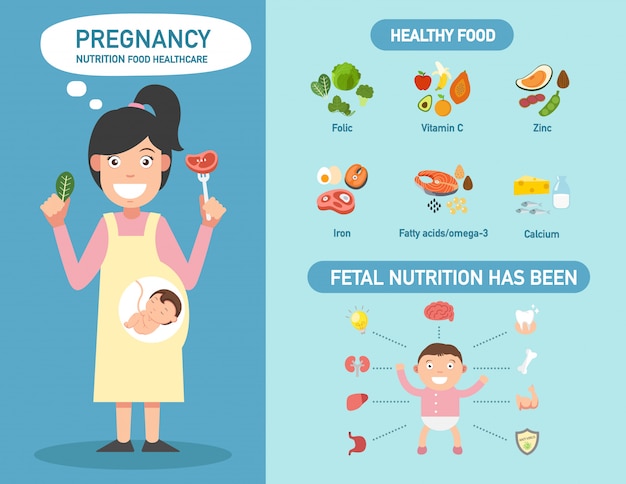 Gravidez nutrição alimentos infográficos de saúde.