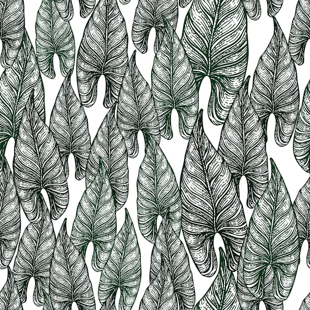 Gravura de folha araceae sem costura padrão fundo de folhas vintage