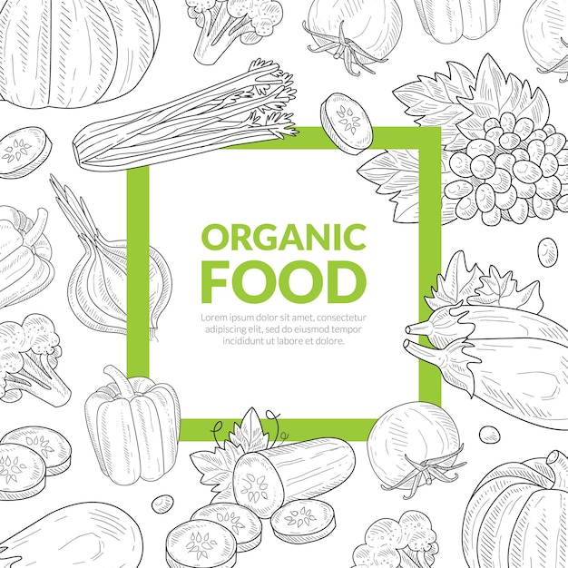 Green food banner template com espaço para elemento de texto pode ser usado para loja de alimentos orgânicos produtos veganos mercado de agricultores menu de restaurante ilustração vetorial desenhada à mão