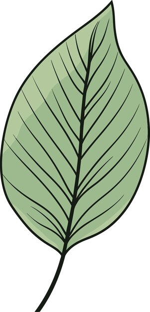 Vetor greenery elegance refined leaf vector narrativessurreal botany dreamlike leaf vector compositions