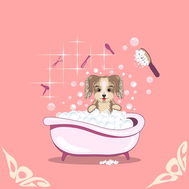 Grooming