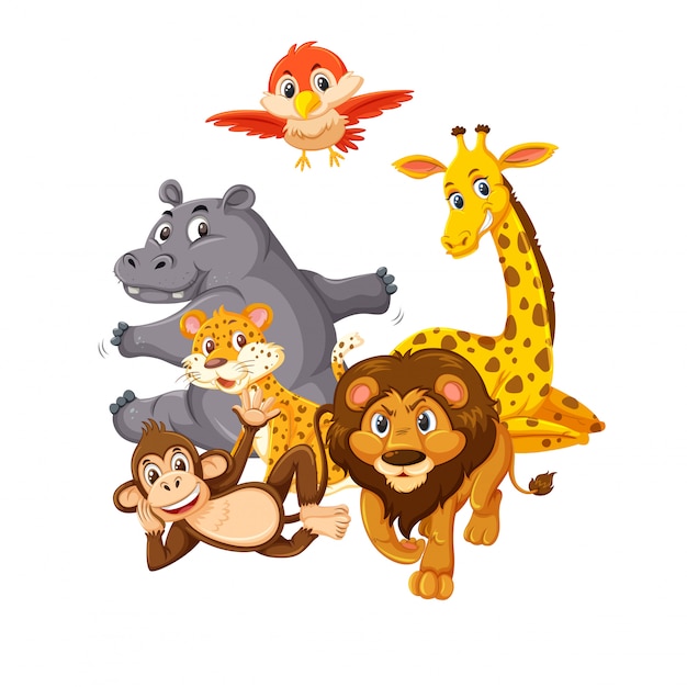 Grupo de animais selvagens