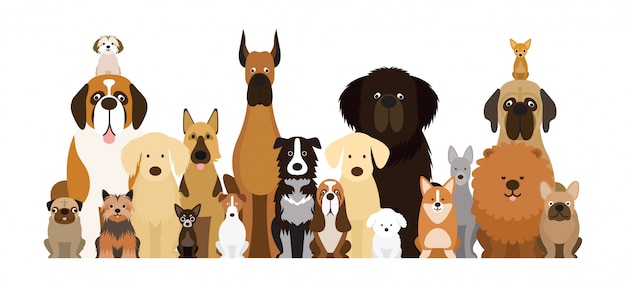 Grupo de ilustração de raças de cães, vários tamanhos, vista frontal, animal de estimação