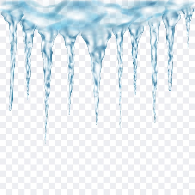 Grupo de pingentes de gelo realistas de azul claro translúcido de diferentes comprimentos conectados na parte superior. Para uso em fundo claro. Transparência apenas em formato vetorial