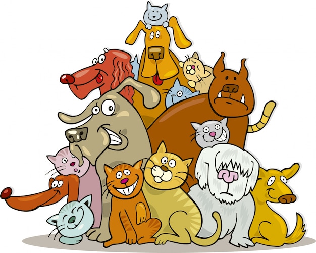 Grupo gatos e cães