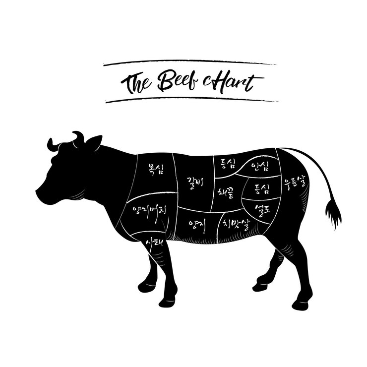 Vetor guia do açougueiro vetorial para corte de carne bovina e suína. desenhando no quadro-negro