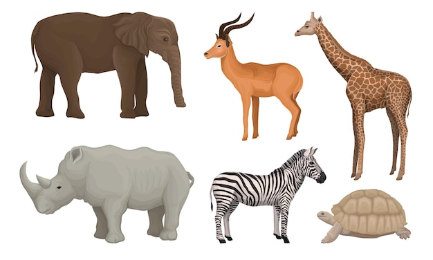 Habitantes da área africana desenhados de forma realista Ilustrações vetoriais isoladas em fundo branco Conjunto de animais
