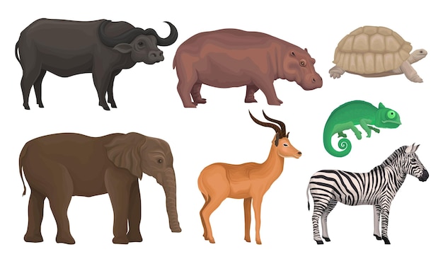 Habitantes da área africana desenhados de forma realista Ilustrações vetoriais isoladas em fundo branco Conjunto de animais