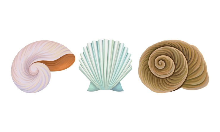 Vetor habitantes marinhos com barnacle e spiral conch vector set