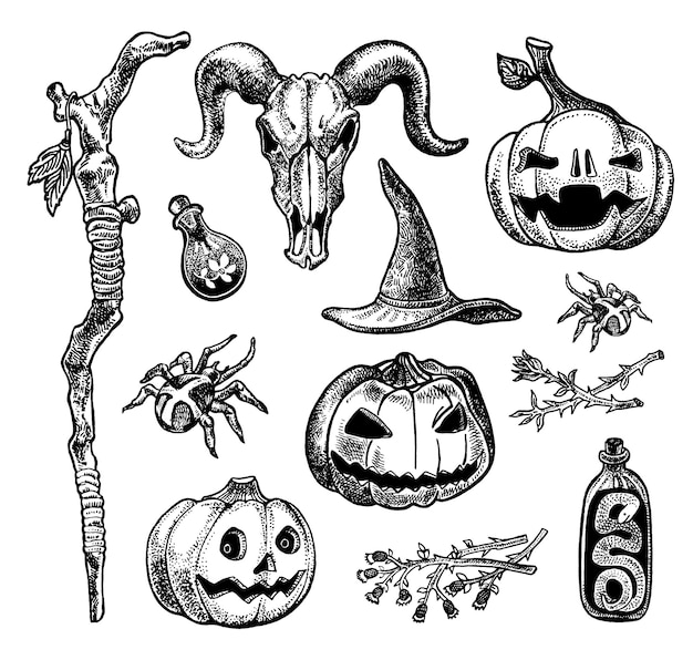 Halloween Abóbora Espantalho Grave Aranha Ilustração Engraçado Mão Desenhar  Royalty Free SVG, Cliparts, Vetores, e Ilustrações Stock. Image 15465991