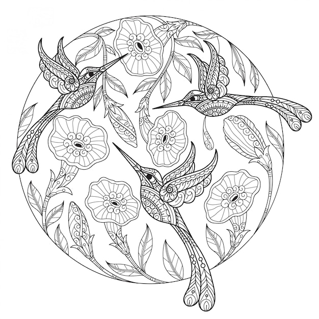 Hammingbird. mão desenhada desenho ilustração para livro de colorir adulto