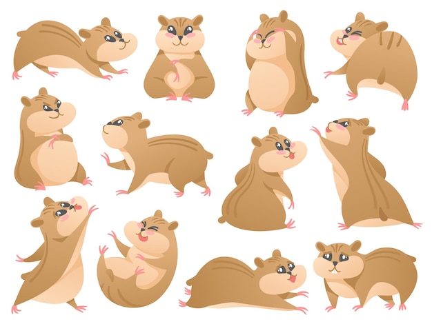 Hamsters de desenho animado animal de estimação fofo em poses diferentes roedor fofo e mascote de hamster vetor isolado conjunto de ilustração