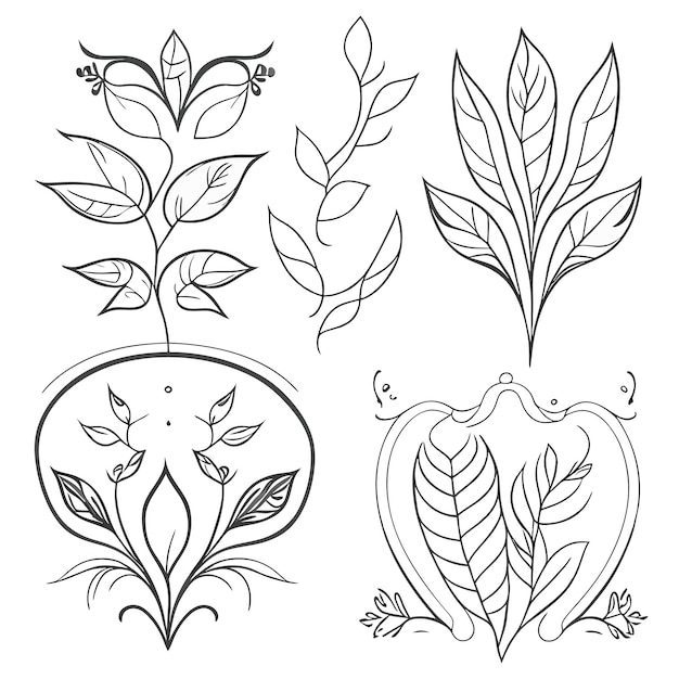 Hand Drawn ornamentos florais Colecção