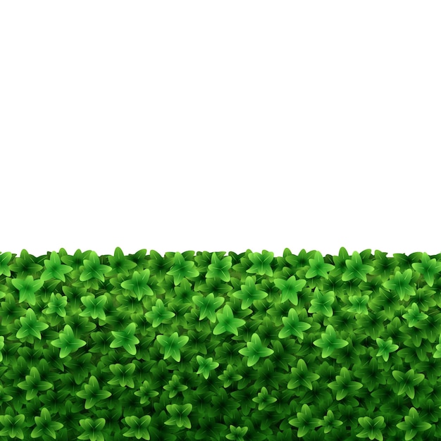 Hedge verde 3D detalhado realista em um vetor branco
