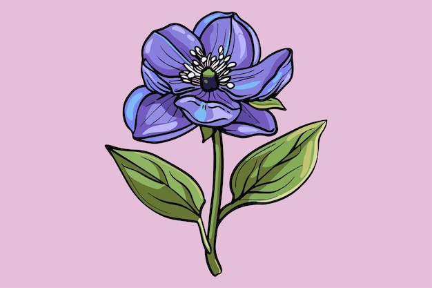 Hellebore