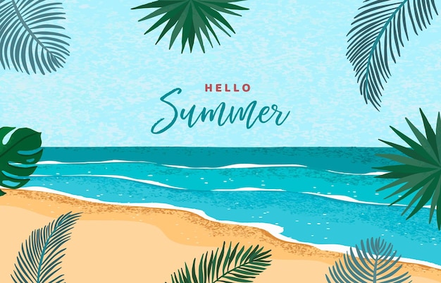 Hello fundo de verão com folhas de palmeira moldura para design horizontal