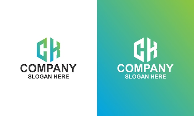 Hexagon corporate logo premium