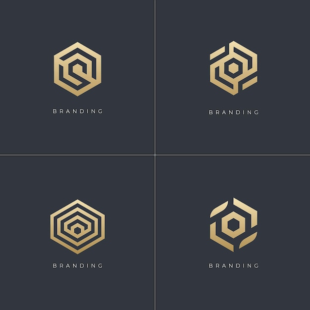 Hexagon Digital Marketing Trading Networking Vector Logo Concept