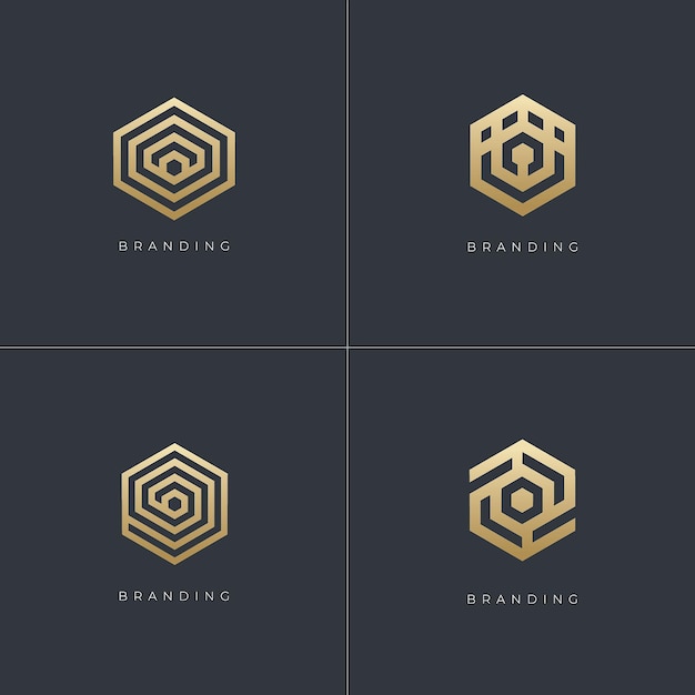 Hexagon Digital Marketing Trading Networking Vector Logo Concept