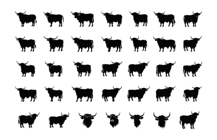 Vetor highland cow silhouette clipart set highland cattle vector silhouettes bundle
