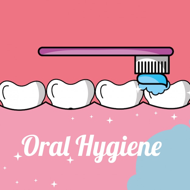 Higiene bucal escovar dente e gengiva dentro da boca