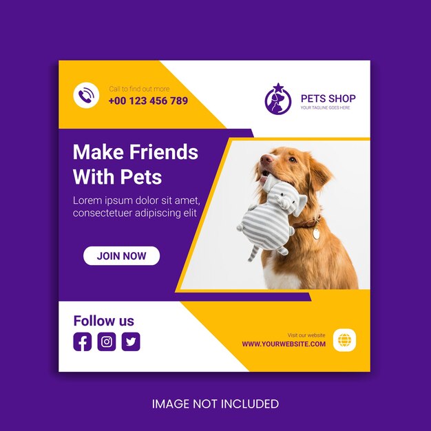 história do instagram de animais de estimação e vetor de design de modelo de postagem de mídia social