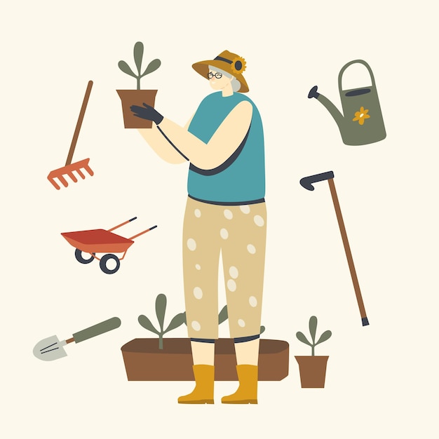 Hobby de jardinagem ou cultivo de mulher sênior. Personagem feminina idosa, de cabelos grisalhos, usando luvas, cuidando das plantas caseiras em vasos