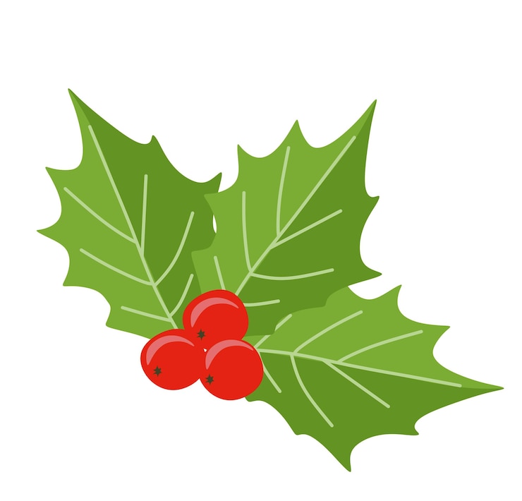 Vetor holly berry ícone natal símbolo floral vetor ilustração plana isolada em fundo branco decoração de natal com bagas e folhas elemento de design tradicional para modelo cartão postal adesivo