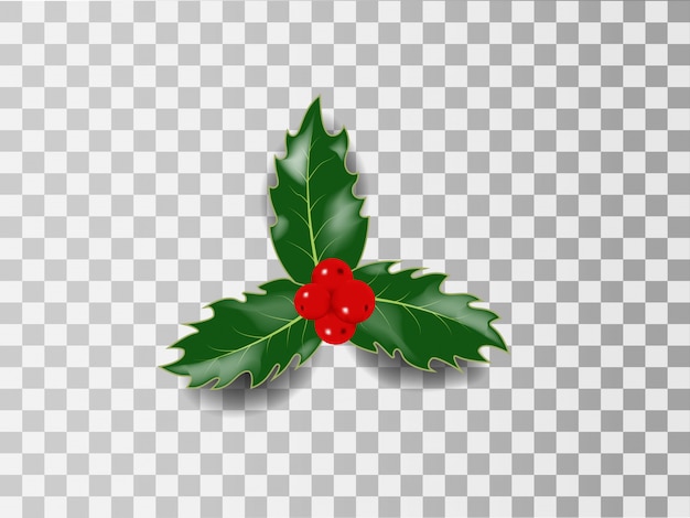 Vetor holly christmas realistic vector