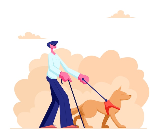 Homem cego andando com o cão-guia e a bengala ao longo da rua. Animal especialmente treinado ajudando um personagem masculino com deficiência a andar na cidade
