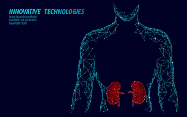 Homens de órgão interno de rins silhueta modelo geométrico baixo poli. tratamento de medicina do sistema de urologia. rede de arame geométrico poligonal de tecnologia de ciência do futuro