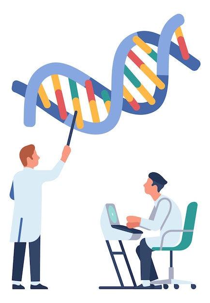 Homens estudando dna humano. laboratório de pesquisa biológica isolado no fundo branco