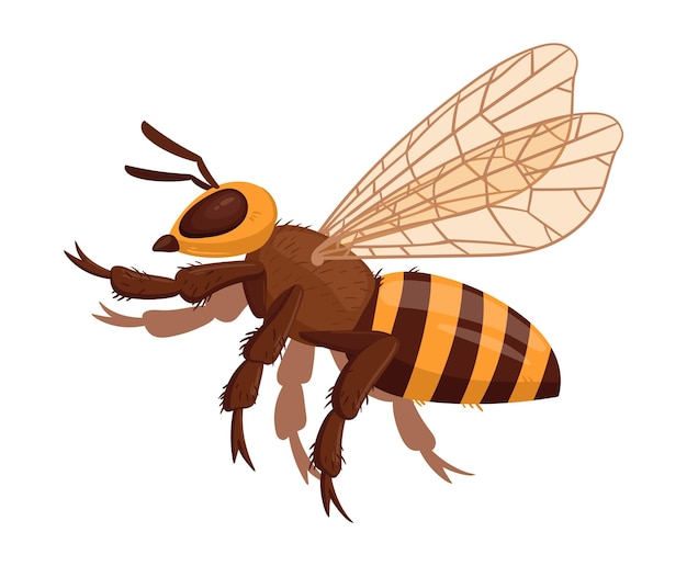 Honey bee cartoon alado bumblebee voando abelha inseto listrado abelha vetor plano ilustração em fundo branco