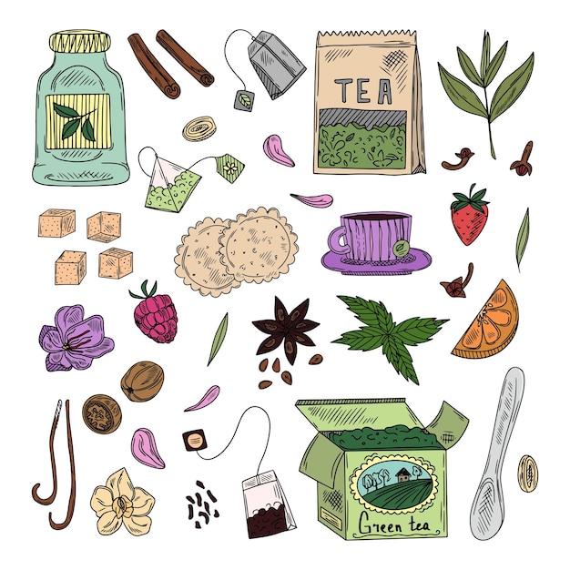 Hora do chá definida com pratos Deixa flores especiarias para chá Vetor desenhado à mão definido em estilo de desenho