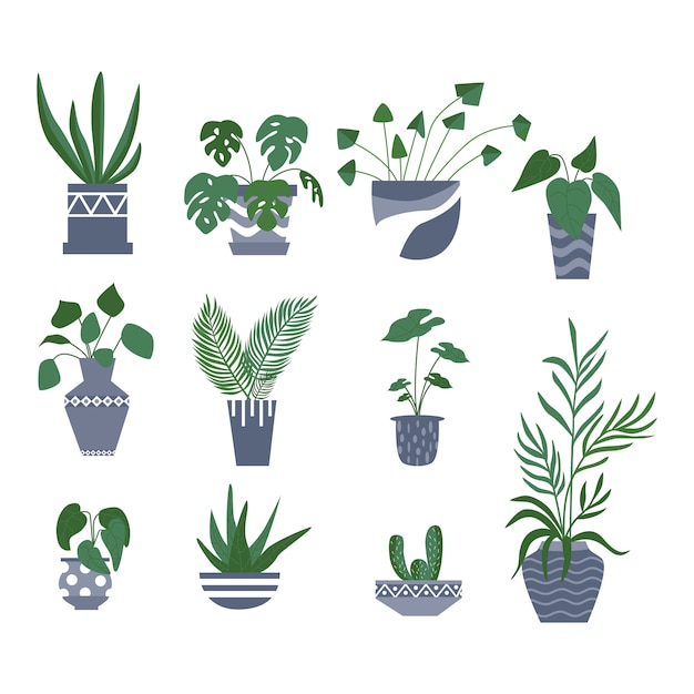 Houseplant tropical exótico em um potenciômetro de flor. ilustração vetorial plana