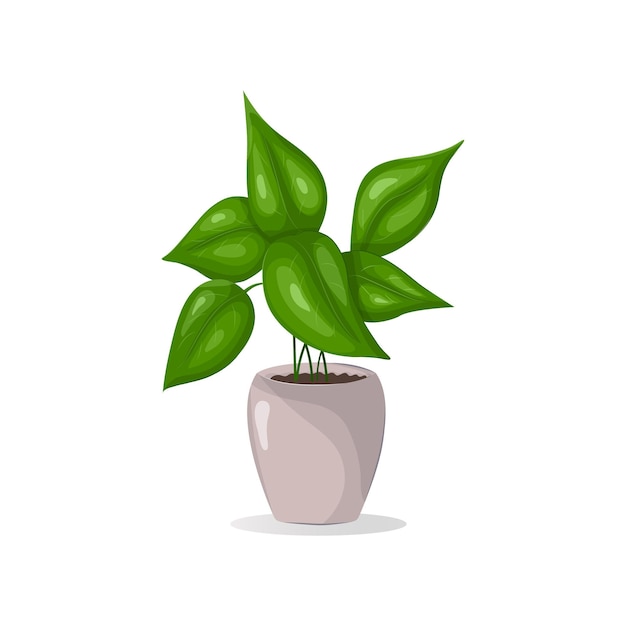 Icona de planta em vaso de cerâmica isolada em planta interior branca vector de planta interior realista