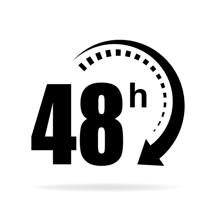 Vetor ícone 48h ilustração vetorial plana em preto sobre fundo branco