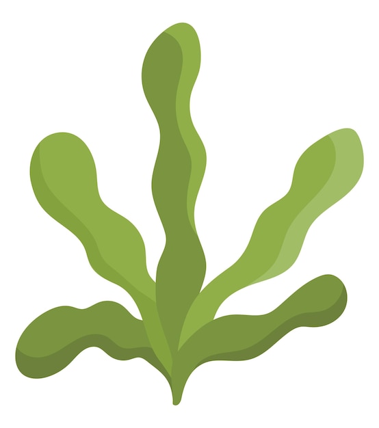 Vetor Ícone de algas verdes vetoriais sob a ilustração do mar com elgas bonitas clipart de plantas oceânicas clip art subaquático ou marinho para crianças isoladas em fundo brancoxa