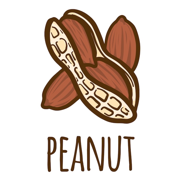 Vetor Ícone de amendoim ilustração desenhada à mão do ícone vetorial de amendoim para web design